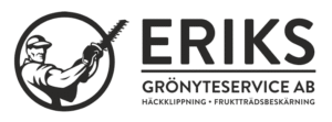 Eriksgrönyte